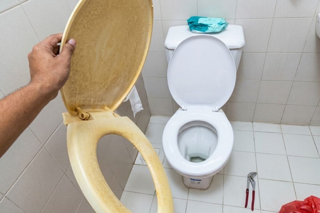 Toilet Choke Cleaning